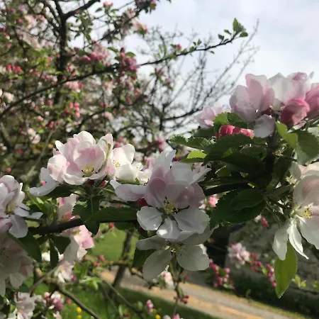 Holiday home Normandia Nonant