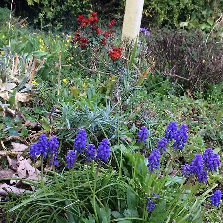 Normandia Holiday home Nonant