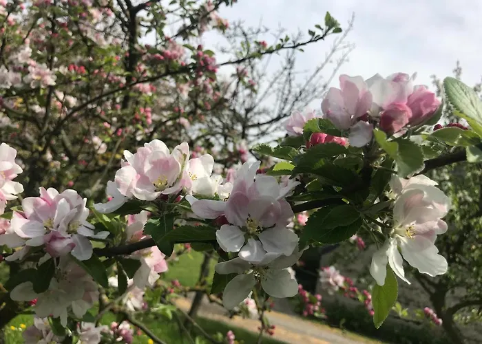Casa vacanze Normandia Nonant