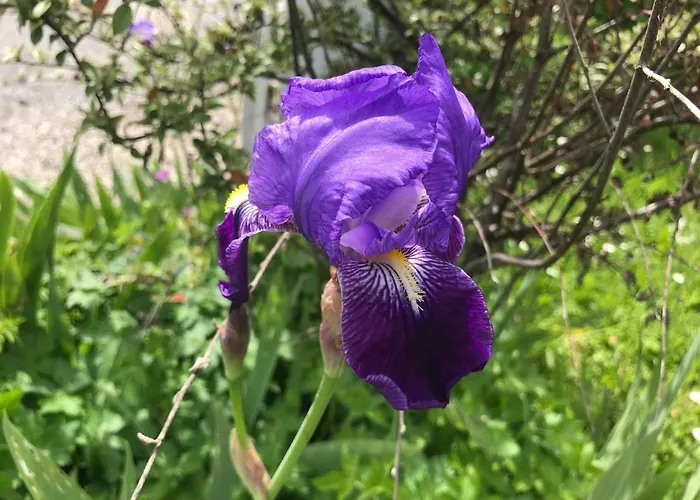 Casa vacanze Normandia