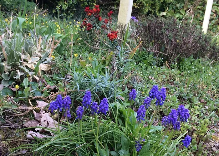 Normandia Casa vacanze Nonant